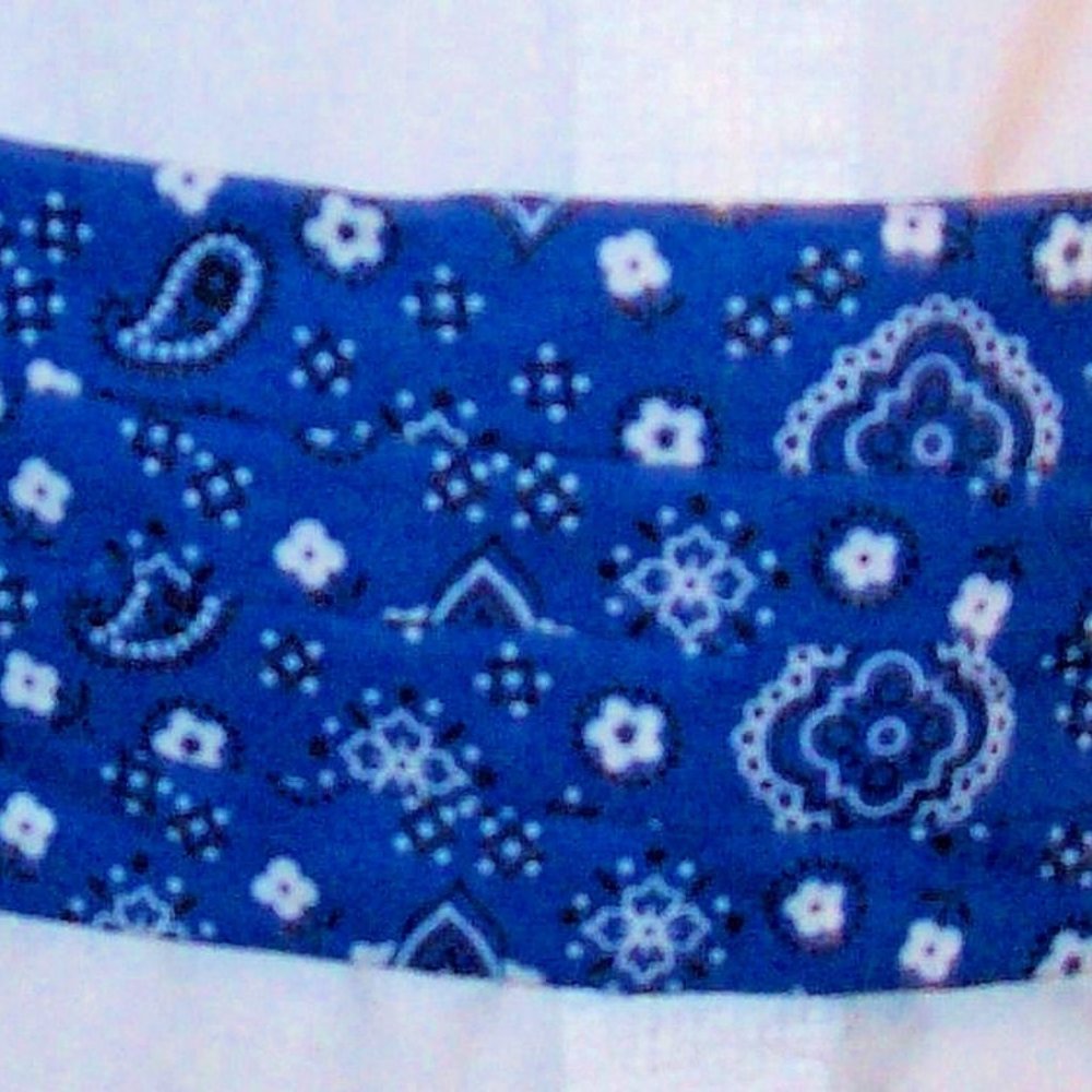 Vintage cotton paisley  cummerbund